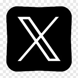 x logo